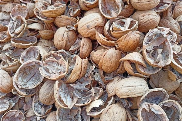 Walnut waste